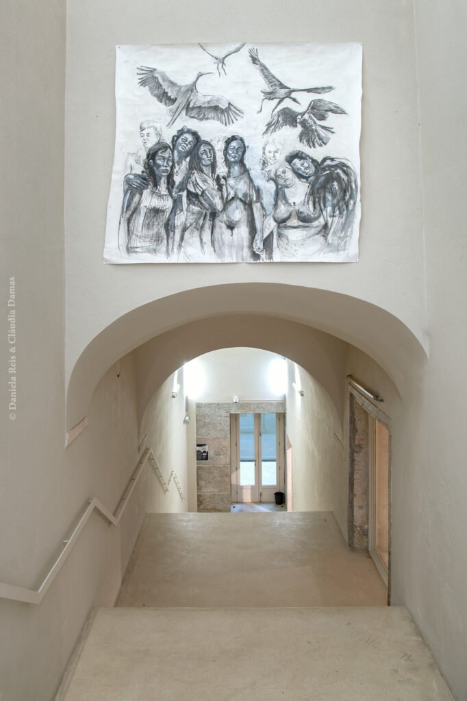 © Daniela Reis - Qualia: Exposição 2026